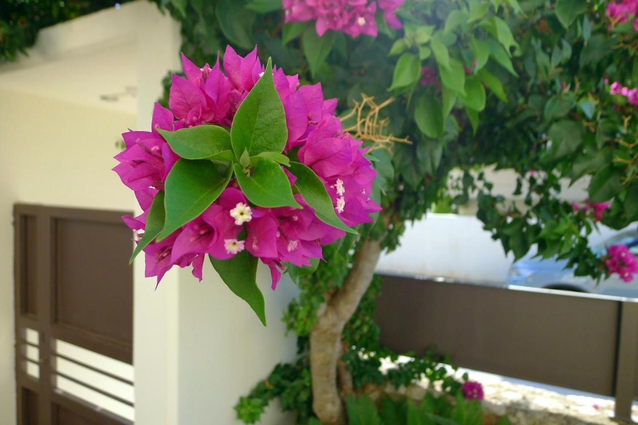 Maria & Manos Guest House, Agios Onoufrios Beach Экстерьер фото